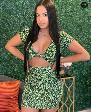 Leopard set